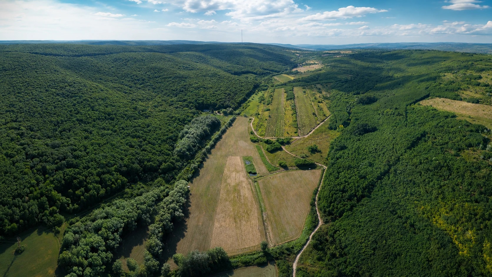 Vedere de ansamblu asupra terenului de 8,57 hectare și a peisajului din jurul Cojușnei.